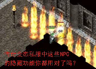 �����̬˽������ЩNPC�����ع����㶼�ö�����