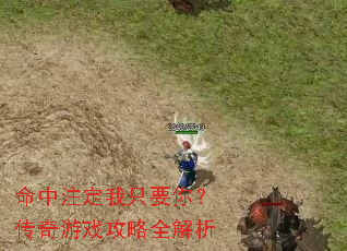 命中注定我只要你?传奇游戏攻略全解析 命中注定我只要你?传奇游戏攻略全解析