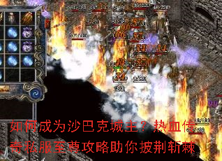 ��γ�Ϊɳ�Ϳ˳�������Ѫ����˽����������������ն��