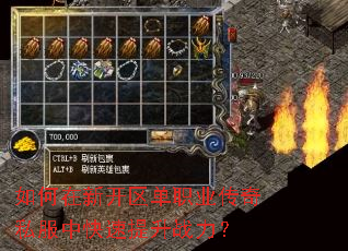 如何在新开区单职业传奇私服中快速提升战力? 如何在新开区单职业传奇私服中快速提升战力?