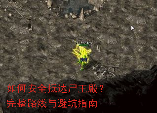 ��ΰ�ȫ�ִ�ʬ�������·����ܿ�ָ��