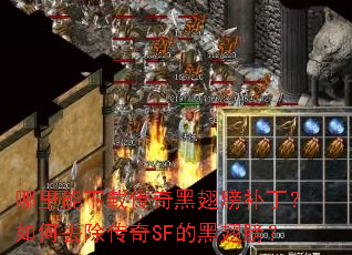 哪里能下载传奇黑翅膀补丁?如何去除传奇SF的黑翅膀? 哪里能下载传奇黑翅膀补丁?如何去除传奇SF的黑翅膀?