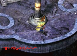 如何捕捉神秘宝宝? 如何捕捉神秘宝宝?