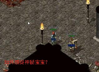 如何捕捉神秘宝宝? 如何捕捉神秘宝宝?
