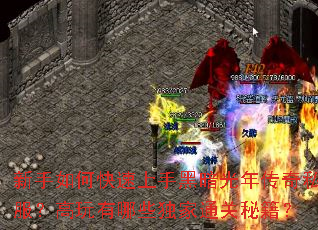 新手如何快速上手黑暗光年传奇私服?高玩有哪些独家通关秘籍? 新手如何快速上手黑暗光年传奇私服?高玩有哪些独家通关秘籍?