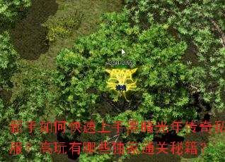 新手如何快速上手黑暗光年传奇私服?高玩有哪些独家通关秘籍? 新手如何快速上手黑暗光年传奇私服?高玩有哪些独家通关秘籍?