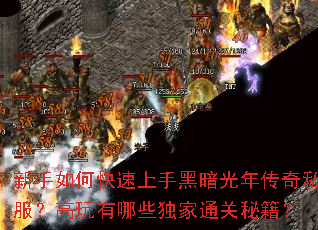 新手如何快速上手黑暗光年传奇私服?高玩有哪些独家通关秘籍? 新手如何快速上手黑暗光年传奇私服?高玩有哪些独家通关秘籍?