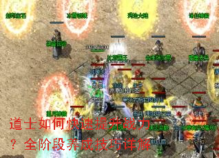道士如何快速提升战力?全阶段养成技巧详解 道士如何快速提升战力?全阶段养成技巧详解