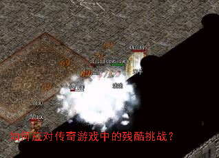 ���Ӧ�Դ�����Ϸ�еĲп���ս��