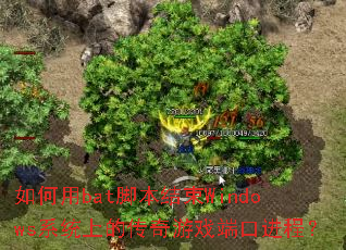 如何用bat脚本结束Windows系统上的传奇游戏端口进程? 如何用bat脚本结束Windows系统上的传奇游戏端口进程?