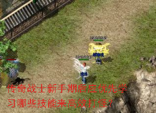 传奇战士新手期后应优先学习哪些技能来高效打怪? 传奇战士新手期后应优先学习哪些技能来高效打怪?