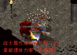 战士属性点如何分配?力量敏捷体力哪个更重要? 战士属性点如何分配?力量敏捷体力哪个更重要?