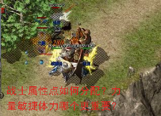 战士属性点如何分配?力量敏捷体力哪个更重要? 战士属性点如何分配?力量敏捷体力哪个更重要?