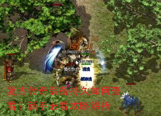 ���Ŵ���װ���־���β鿴�����ֱؿ����Խ���