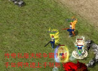 传奇私服天梯争霸?新手如何快速上手制胜? 传奇私服天梯争霸?新手如何快速上手制胜?