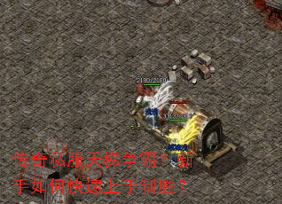 传奇私服天梯争霸?新手如何快速上手制胜? 传奇私服天梯争霸?新手如何快速上手制胜?