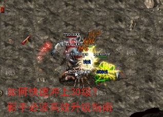 如何快速冲上30级?新手必读高效升级指南 如何快速冲上30级?新手必读高效升级指南