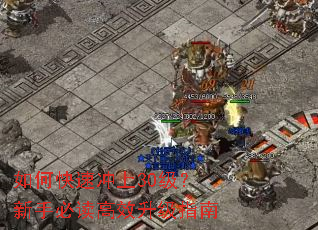 如何快速冲上30级?新手必读高效升级指南 如何快速冲上30级?新手必读高效升级指南