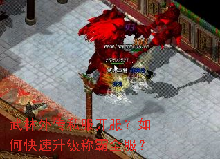 武林外传私服开服?如何快速升级称霸全服? 武林外传私服开服?如何快速升级称霸全服?