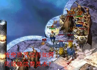 �������編ʦ��θ�Ч������������