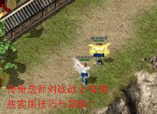 ���淨ʦ��սսʿ����Щʵ�ü�������ԣ�