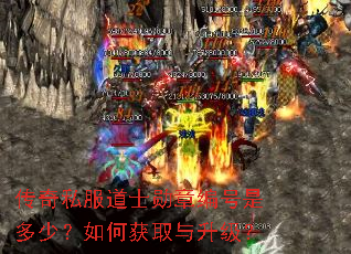 ����˽����ʿѫ�±���Ƕ��٣���λ�ȡ��������