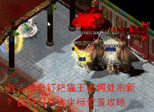 ���Ŵ��涤��è���ںδ�ˢ�£������ž�������λ�ù���
