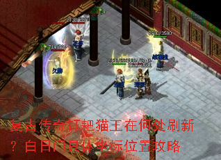 ���Ŵ��涤��è���ںδ�ˢ�£������ž�������λ�ù���
