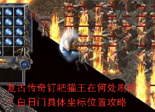 ���Ŵ��涤��è���ںδ�ˢ�£������ž�������λ�ù���