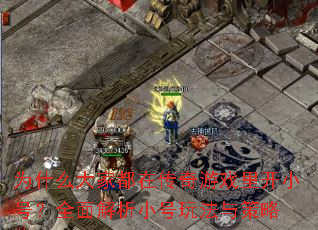 Ϊʲô��Ҷ��ڴ�����Ϸ�￪С�ţ�ȫ�����С���淨�����