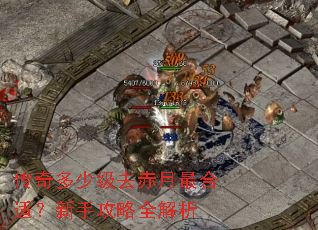 ������ټ�ȥ��������ʣ����ֹ���ȫ����