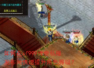 �����sf999����˽������������������ɫ�ȼ���