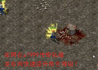 �����sf999����˽������������������ɫ�ȼ���