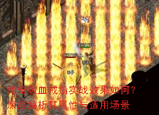 ������Ѫ��ָʵսЧ����Σ���Ƚ��������������ó���