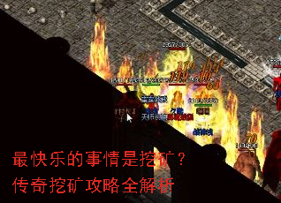 ����ֵ��������ڿ󣿴����ڿ���ȫ����