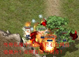 ����˽���о��Ѻ��ʯΪ�μ�ֵ�������λ�ȡ��������